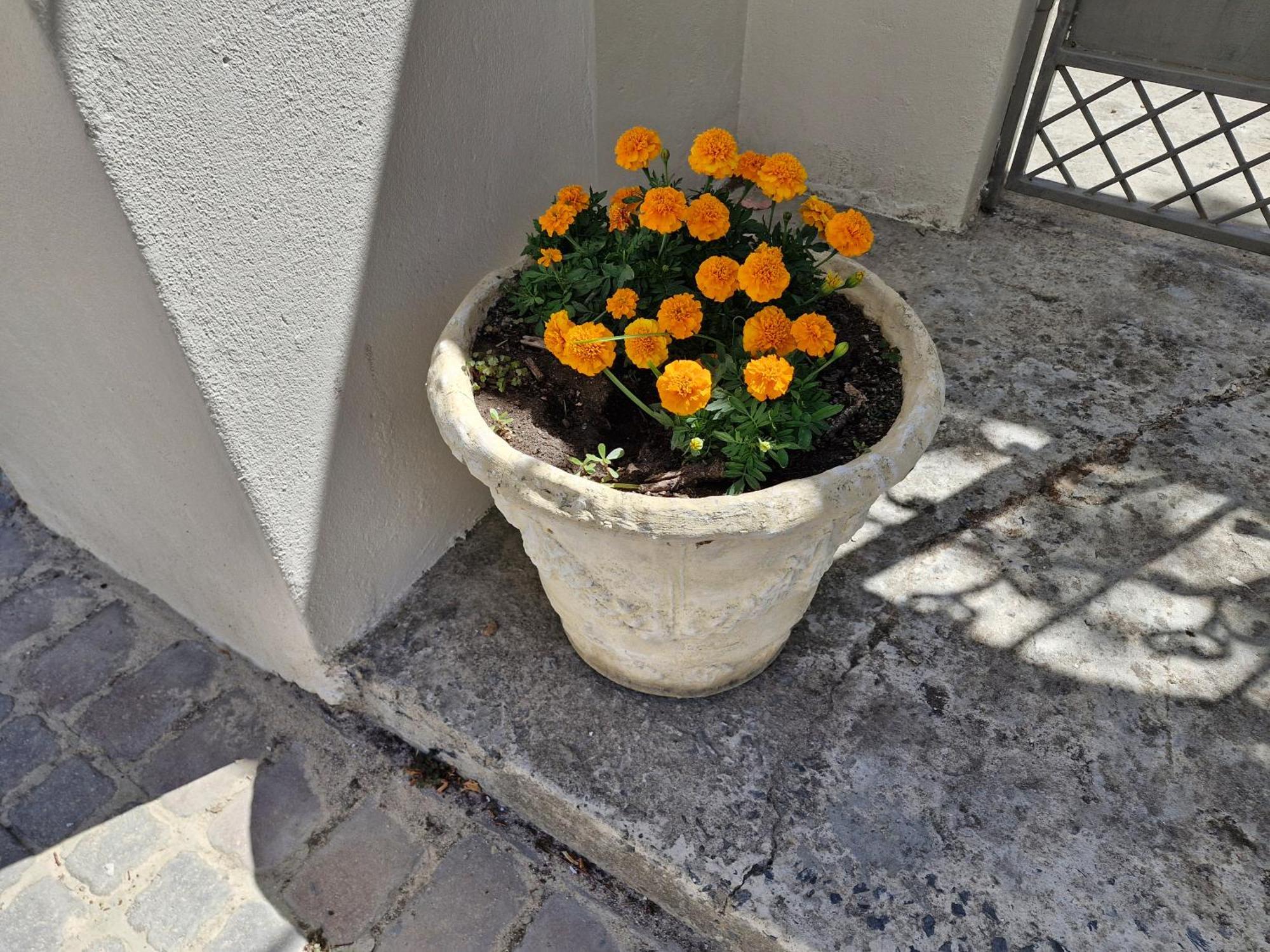Apartamento The Botanical House Somerset West Exterior foto